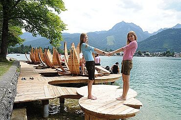 Seerosen, (c) Wolfgangsee Tourismus Seerosen, (c) Wolfgangsee Tourismus