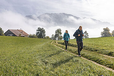 Ein Mann und eine Frau wandern am Edelkastanienweg am Attersee,© Foto: Oberösterreich Tourismus/Attersee-Attergau/Michael Grössinger Ein Mann und eine Frau wandern am Edelkastanienweg am Attersee,© Foto: Oberösterreich Tourismus/Attersee-Attergau/Michael Grössinger