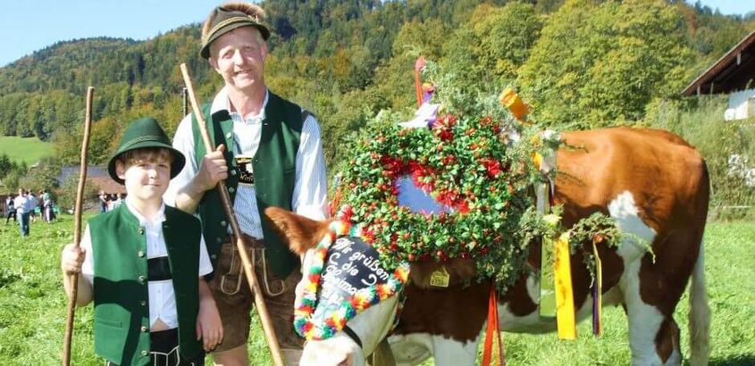Almabtrieb, (c) Wolfgangsee Tourismus Almabtrieb, (c) Wolfgangsee Tourismus