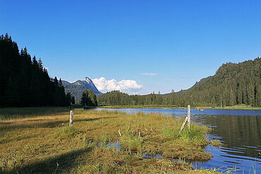 Spechtensee, (c) TV-Grimming-Donnersbachtal, Roland Gutwenger Spechtensee, (c) TV-Grimming-Donnersbachtal, Roland Gutwenger